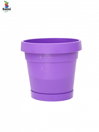 purple color pot