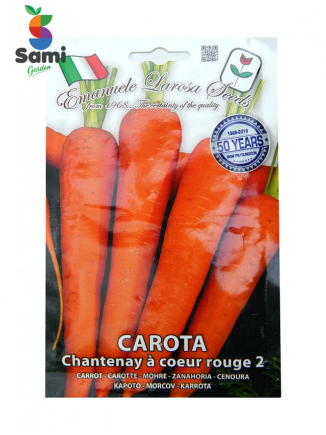 carrot  seed